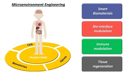 Advanced Biomaterials and Regenerative Engineering Lab (ABREL)